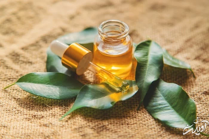 از بین بردن بوی بد لباس با روغن درخت چای روغن درخت چای